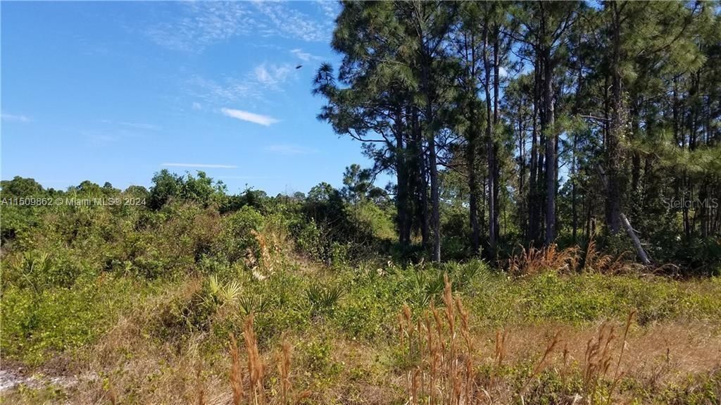 Photo of Hawthorne Rd, Fort Pierce, FL 34946 (MLS # A11509862)