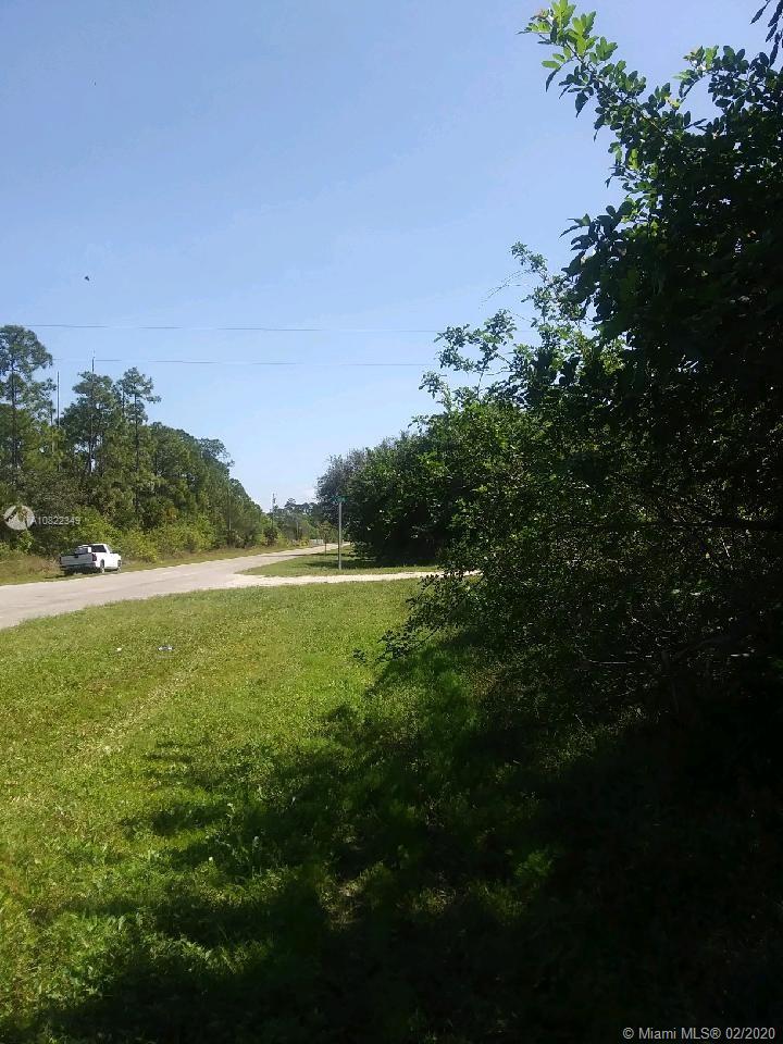 VERY NICE CORNER LOT OF 1.25 ACRES IN PAVED ROAD, IN MONTURA RANCH ESTATES, IN HENDRY COUNTY,FLORIDA. YOU CAN BUILD YOUR HOME OR YOU CAN BUILD ONE MOBILE HOME. HORSES ARE WELCOME.