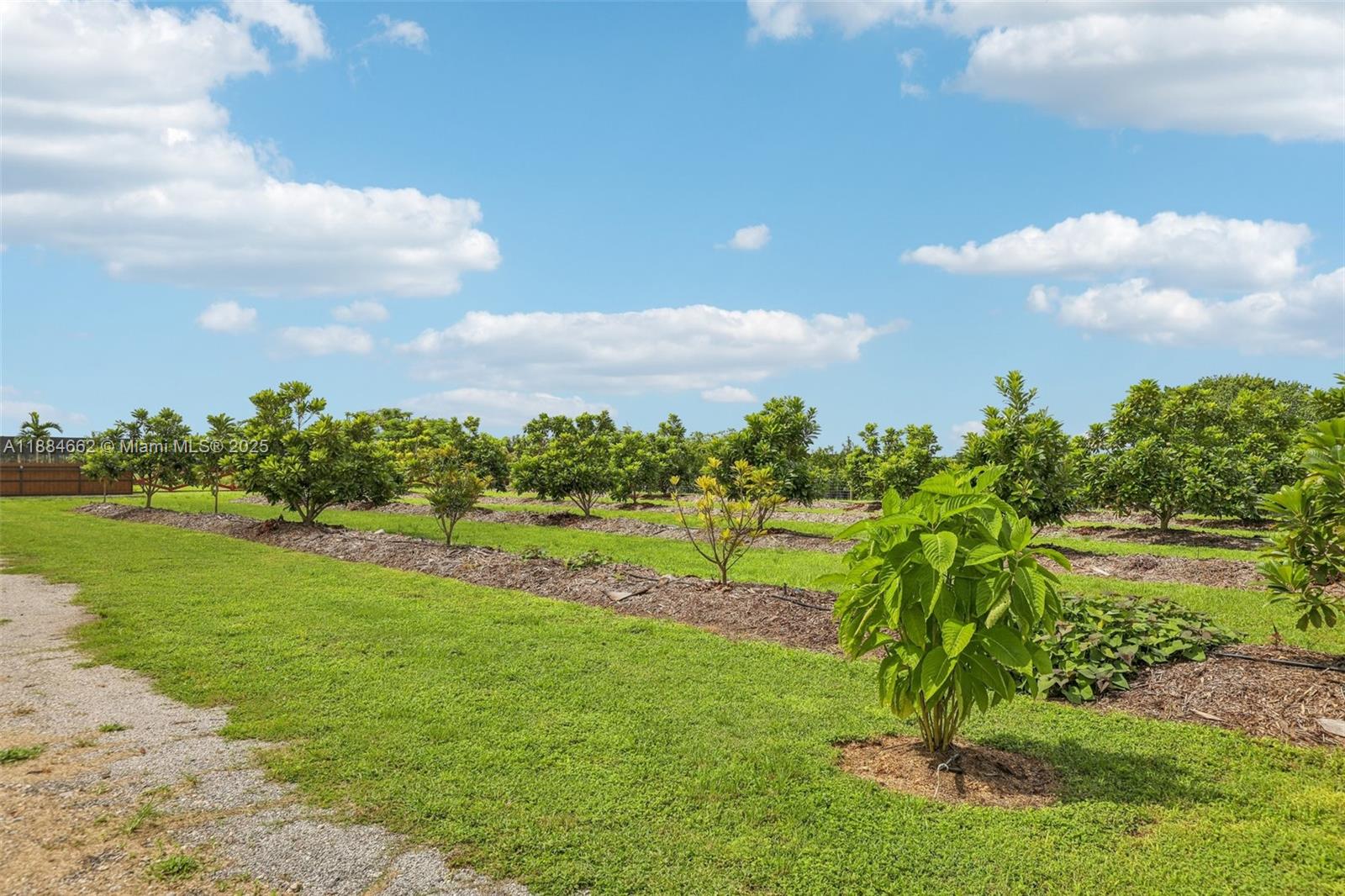 Coconut Palm Estate Un B - Residential