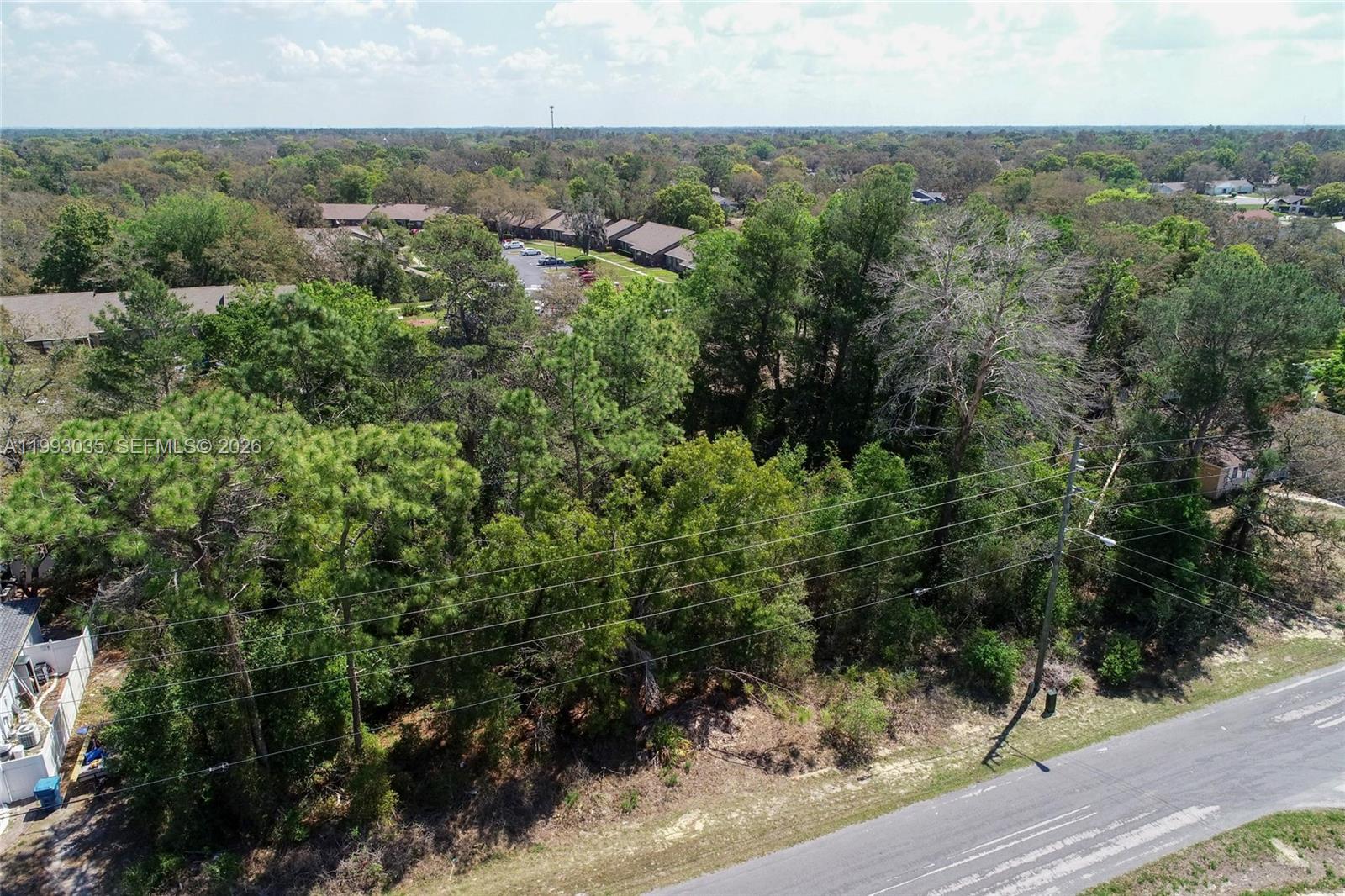 WEEKI WACHEE WOODLANDS - Land