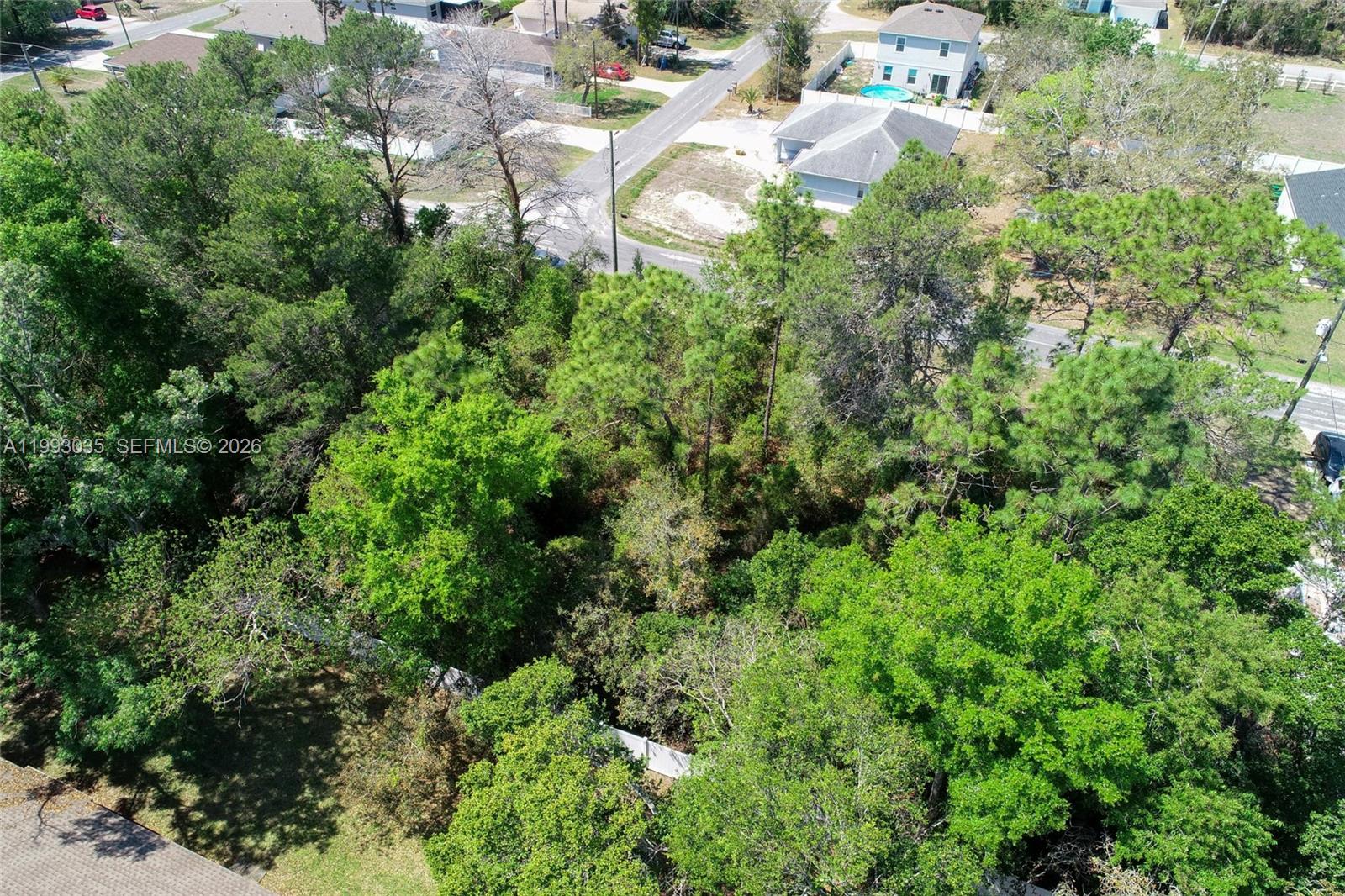 WEEKI WACHEE WOODLANDS - Land