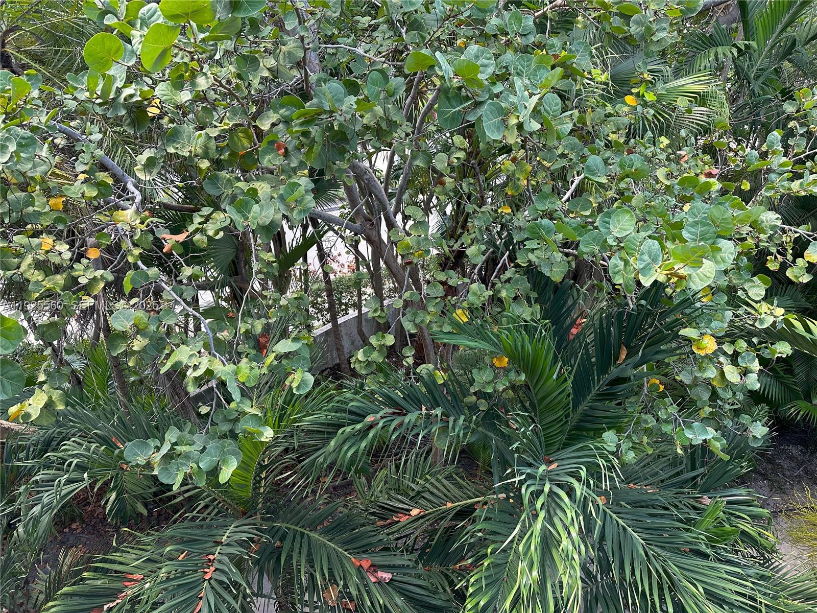 OCEAN VILLAGE CONDO - Residential Lease