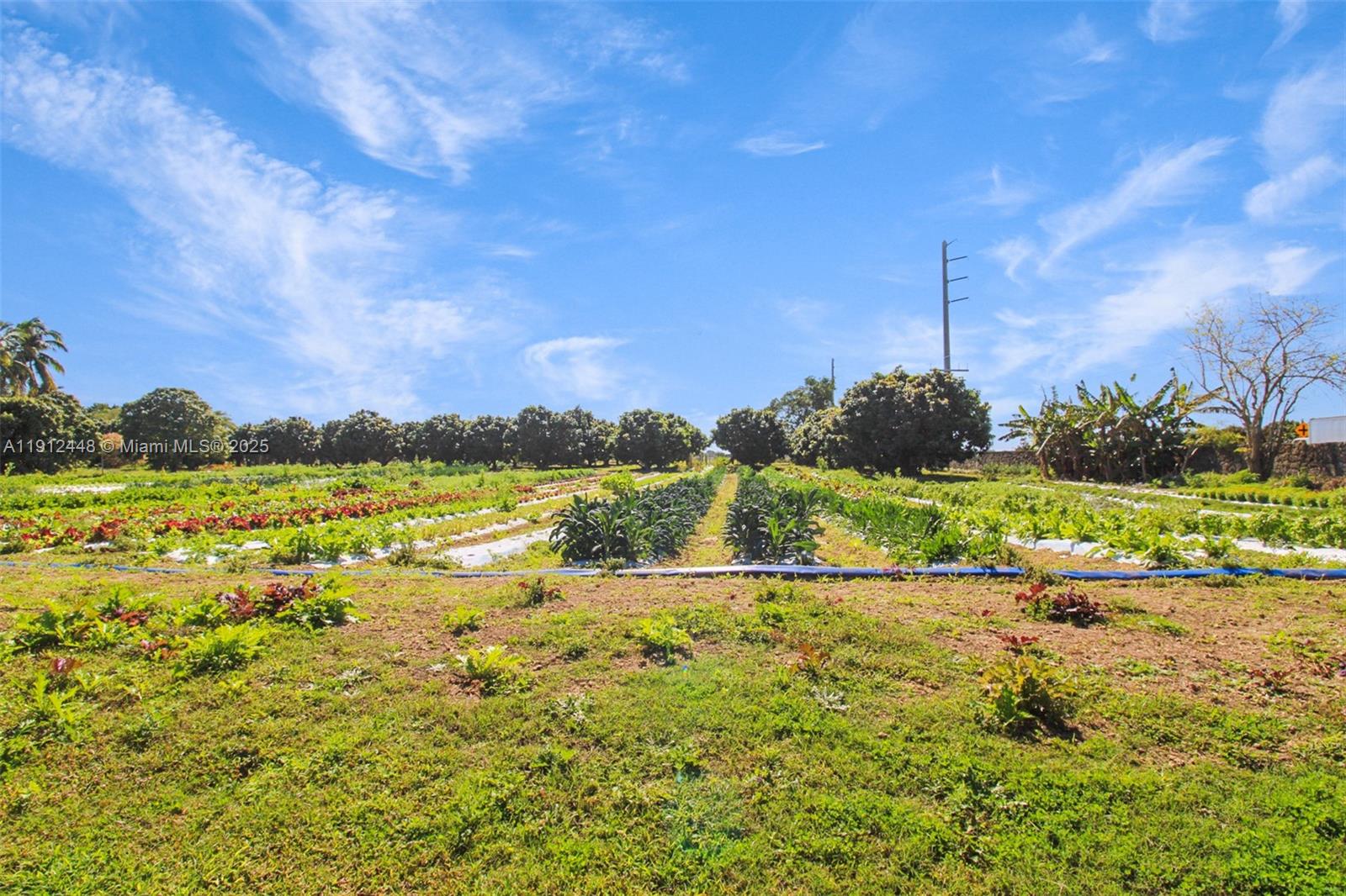 Redlands - Residential