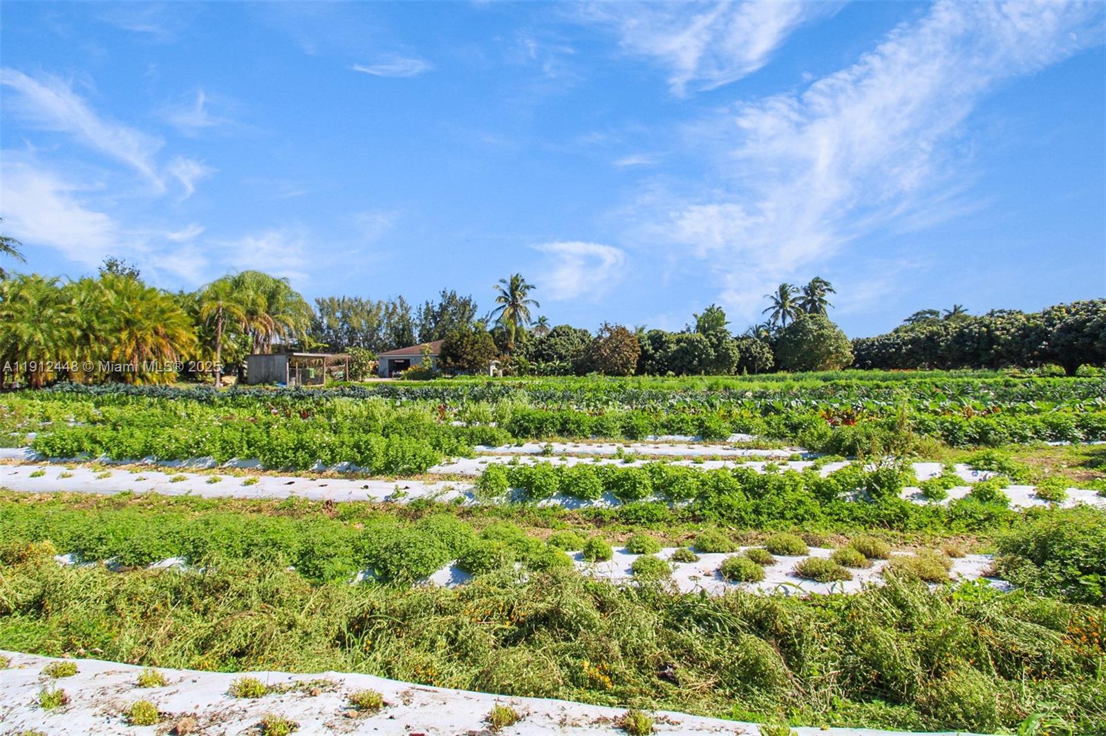 Redlands - Residential