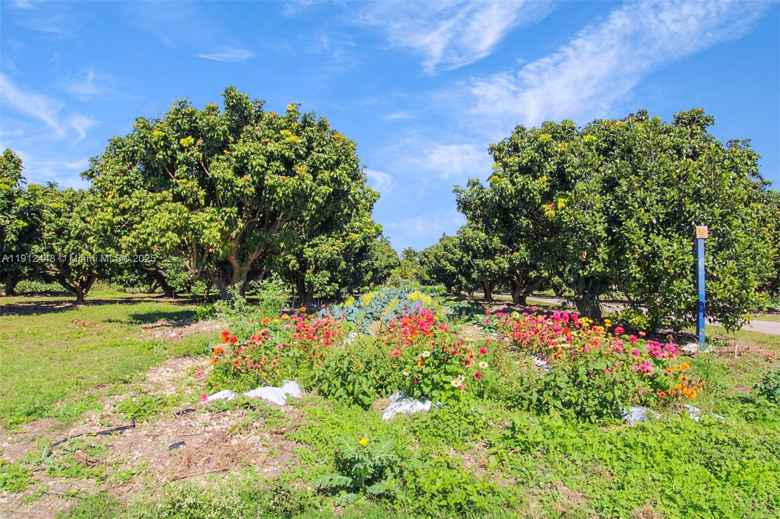 Redlands - Residential