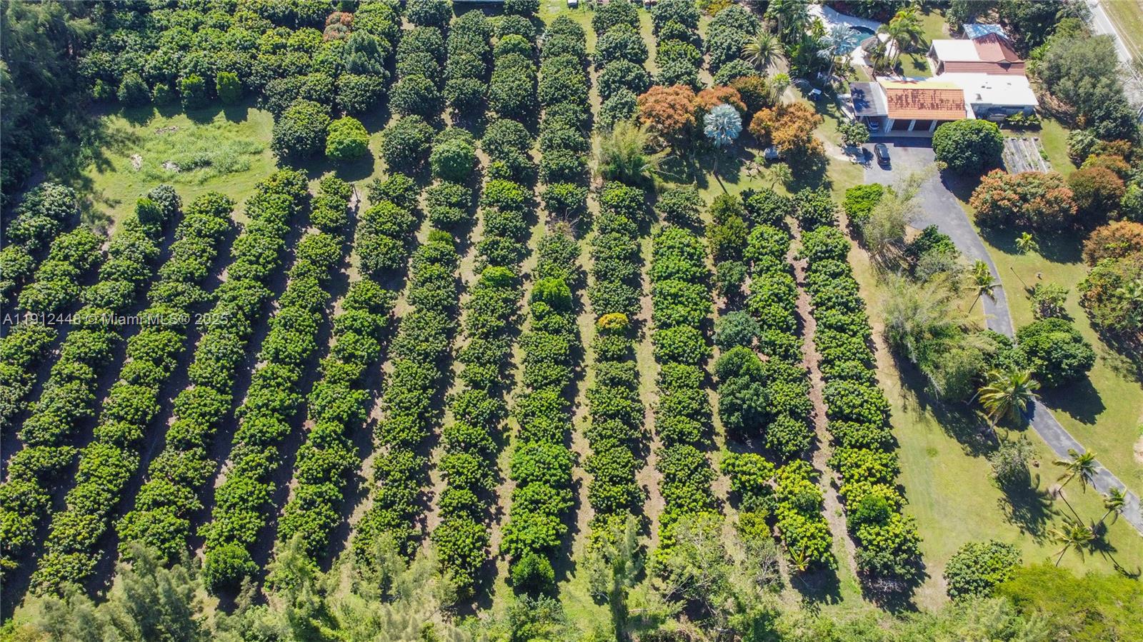 Redlands - Residential