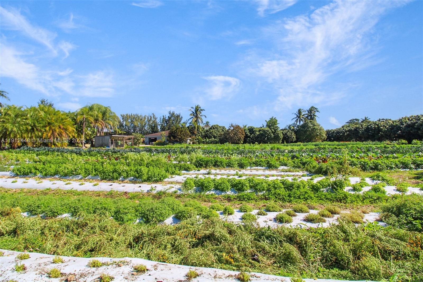 Redlands - Residential