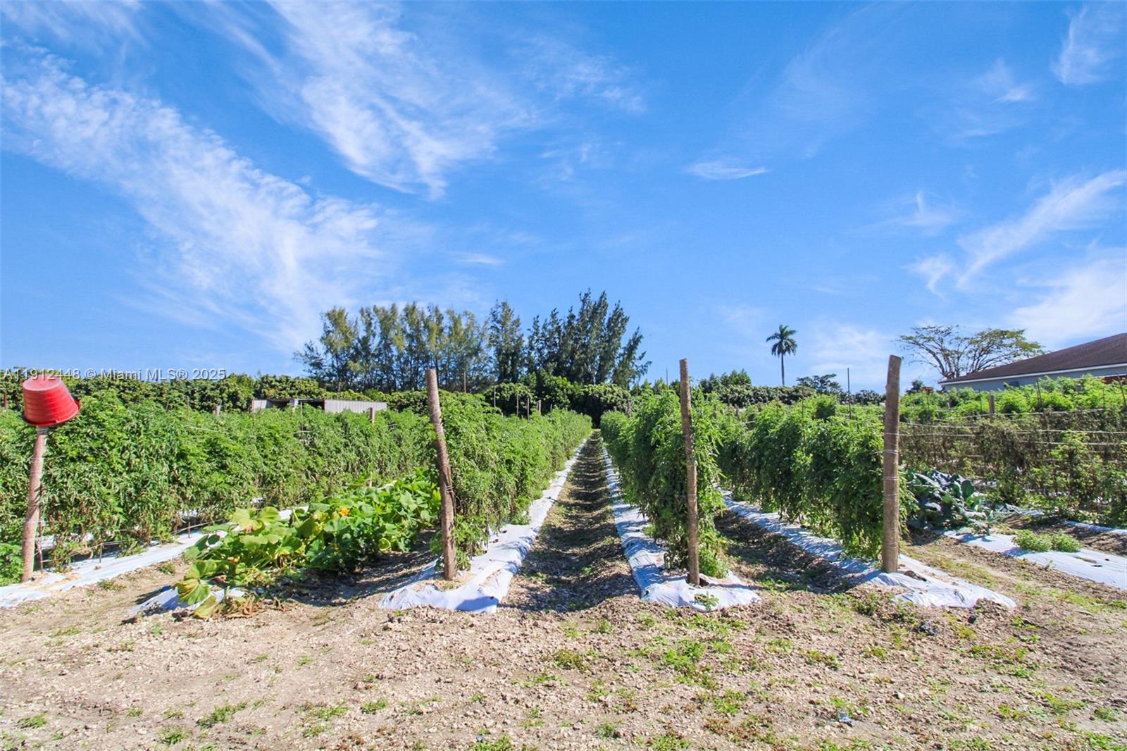 Redlands - Residential