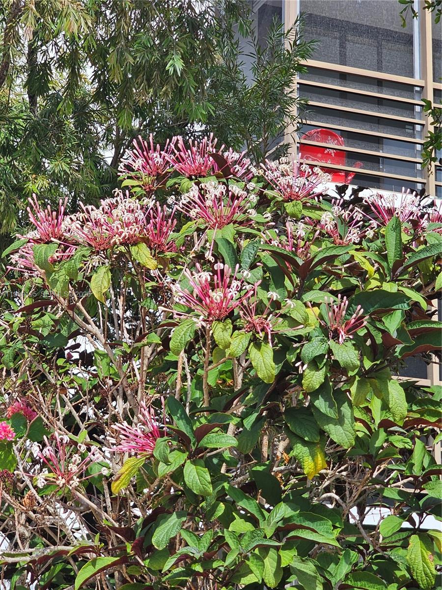 20400 W Country Club Dr 601