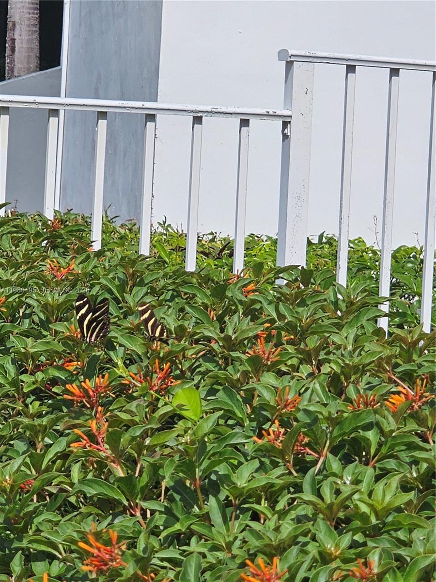 BISCAYA IV CONDO - Residential