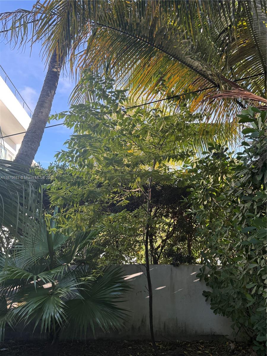 SPRING GARDEN - Residential