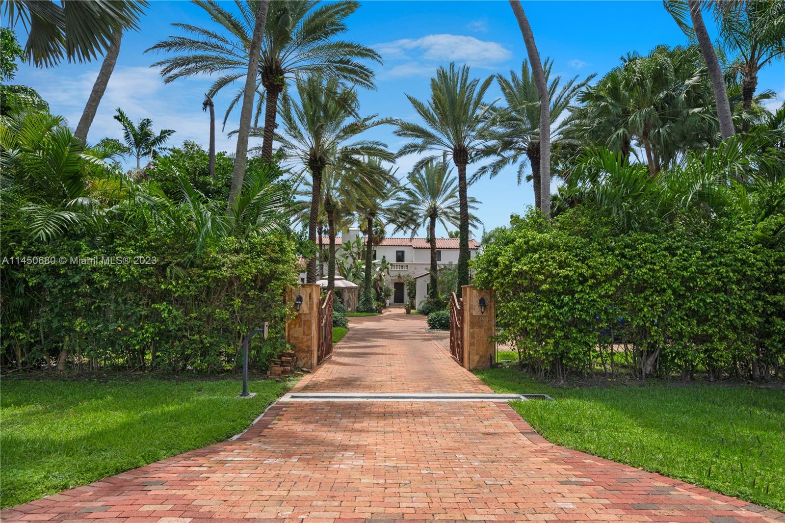 HIBISCUS ISLAND - Land