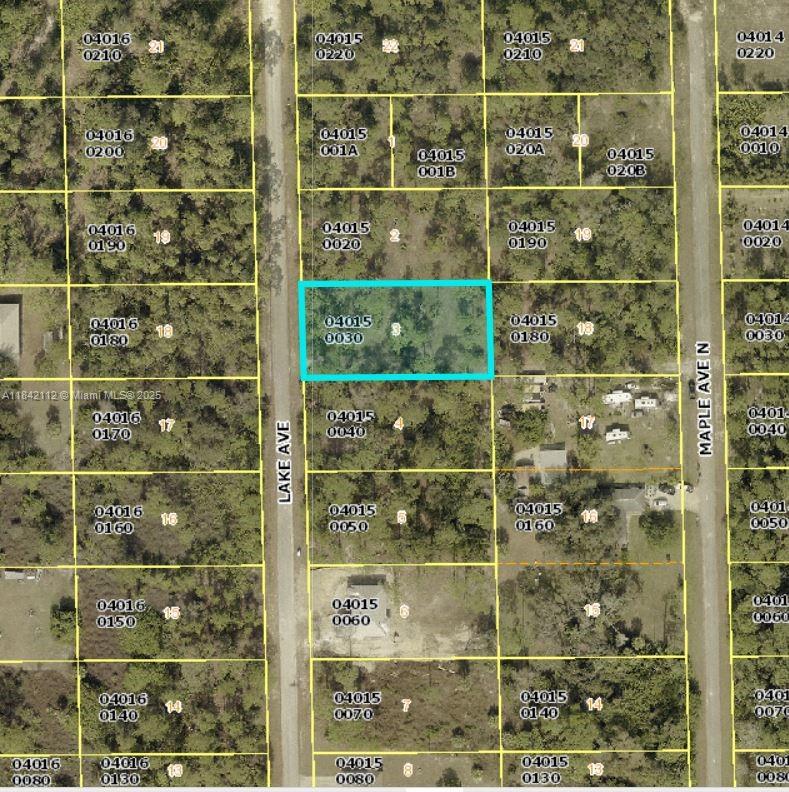 1/2 ACRE PARCEL. GREAT PRICE! BUYER COULD BUILD DREAM HOME. QUICK ACCESS TO JOEL BLVD AND ST RD 80
