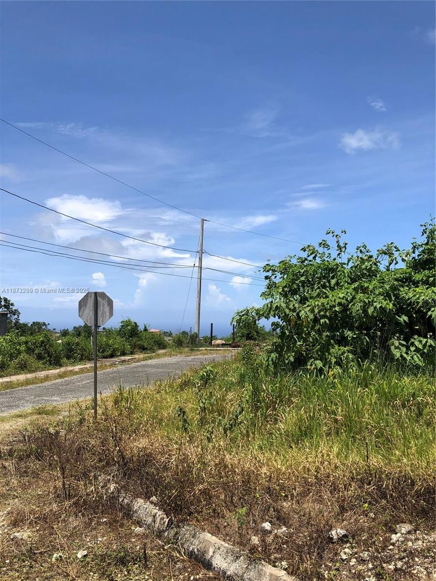 LOVELY CLEARD LOT N MINARD PEN WITH OCEAN VIEW ,NEAR BROWNS TOWN AT.ANN, PROPERTY HAS ELECTRICITY ,LARGE BEAUTIFUL HOMES ALREADY BUILT IN THE COMMUNITY, LOT IS READY TO BUILD YOUR DREAM HOME.