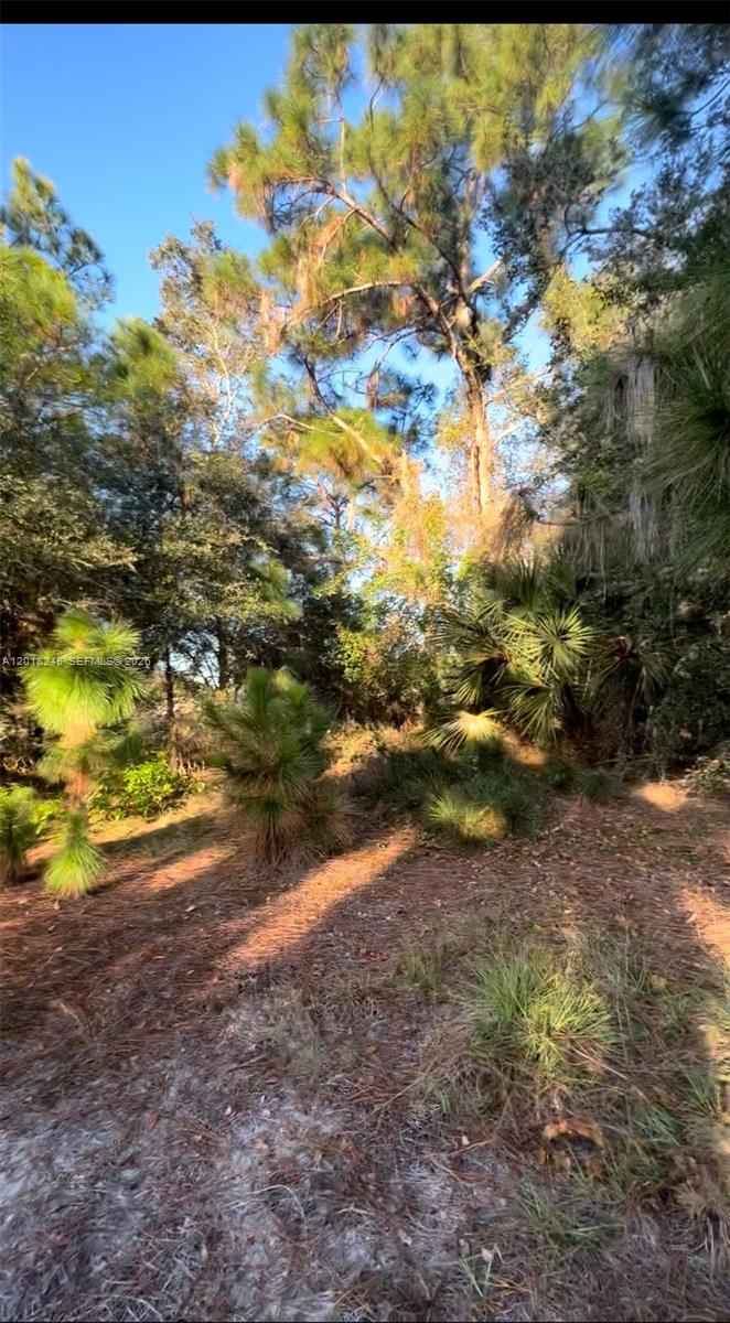 MONTURA RANCH ESTATES 1 ST - Land