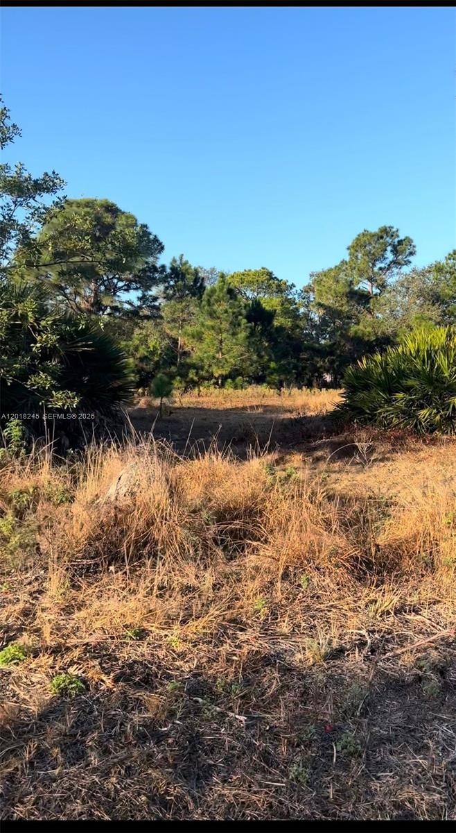 MONTURA RANCH ESTATES 1 ST - Land
