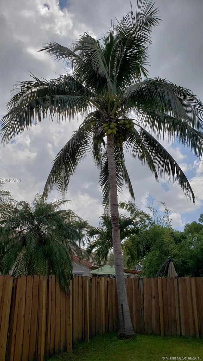 COSTA VERDE - Residential