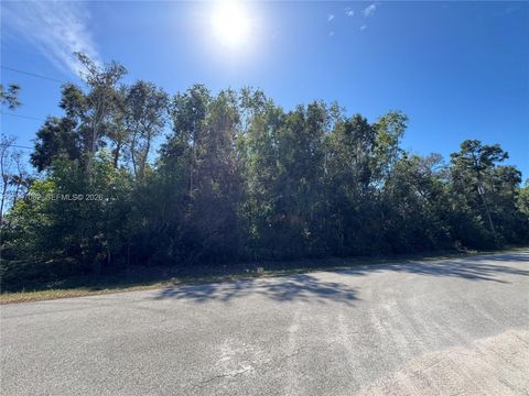 UNINCORPORATED SPANISH OAKS LANE Other FL 34119