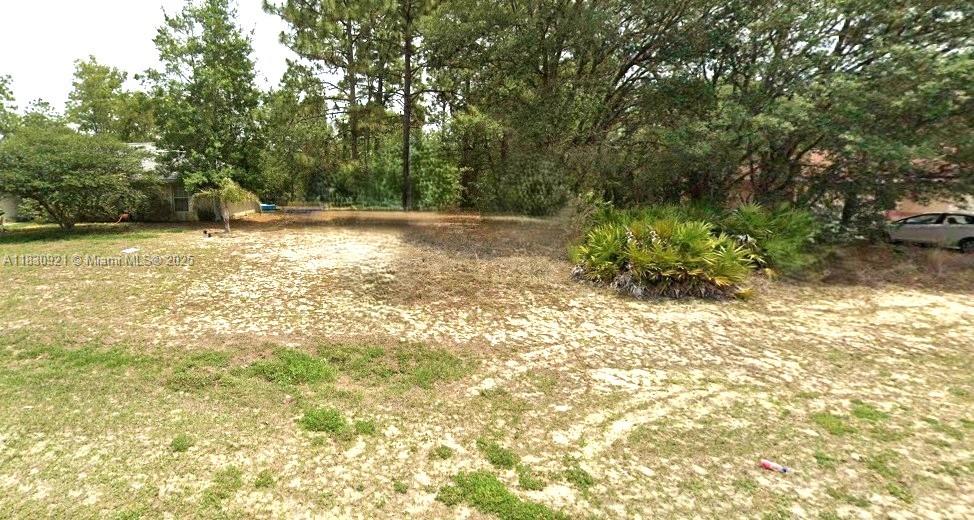 CITRUS SPRINGS - Land