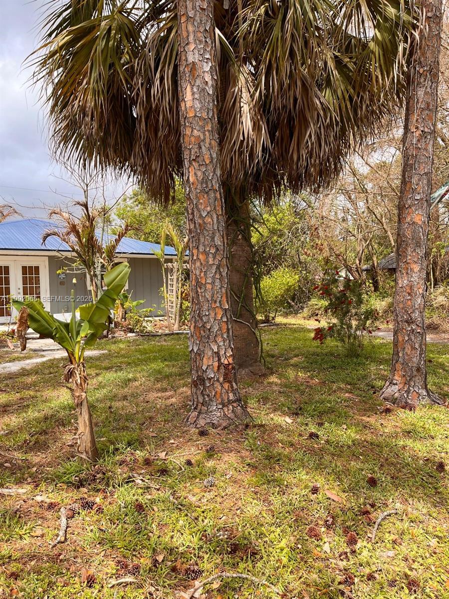 OSLO PARK UNIT NO 2 - Residential