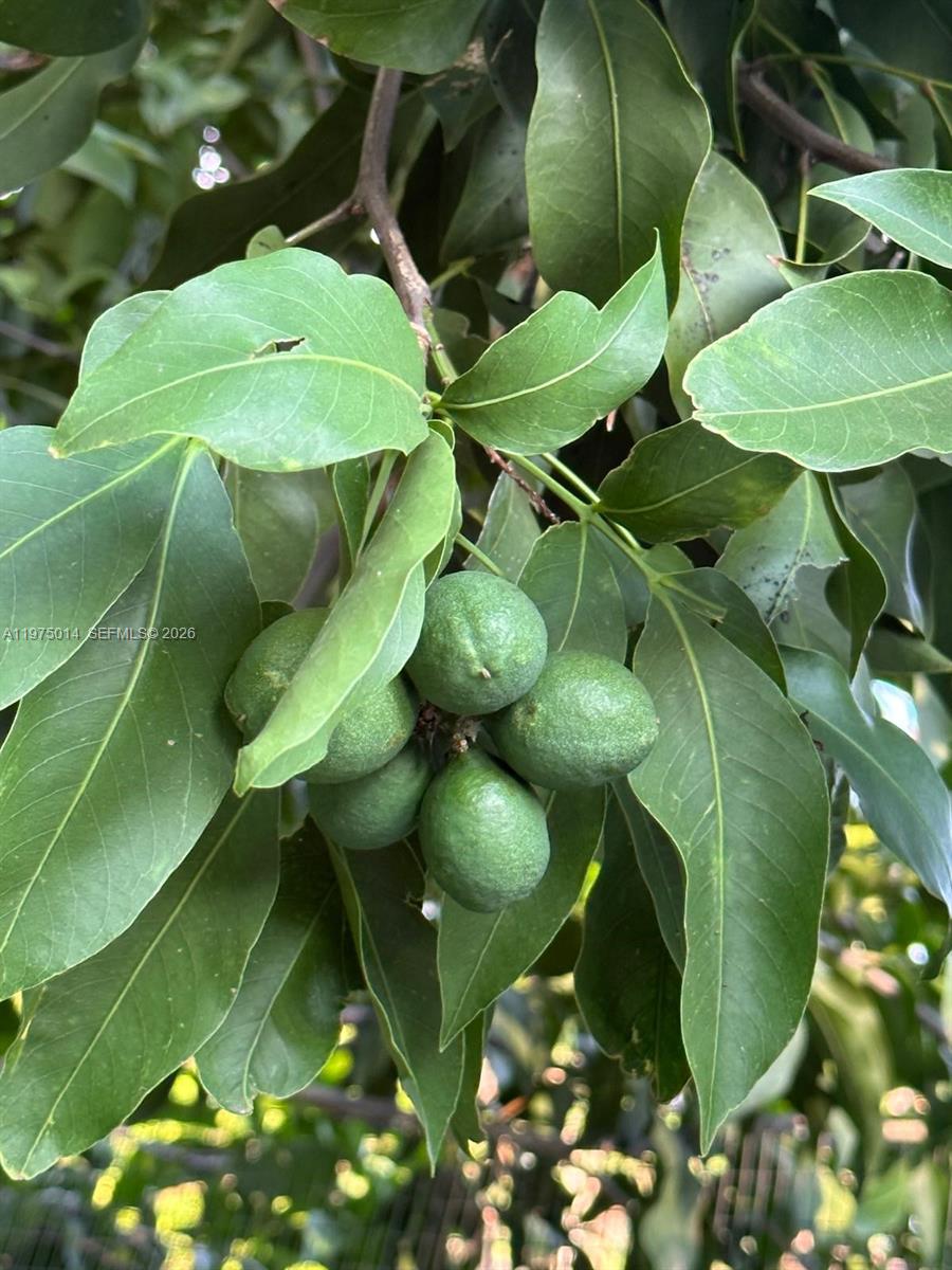 REDLANDS - Residential