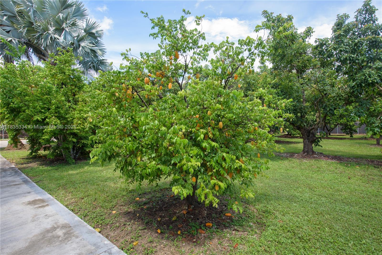 Redland - Residential