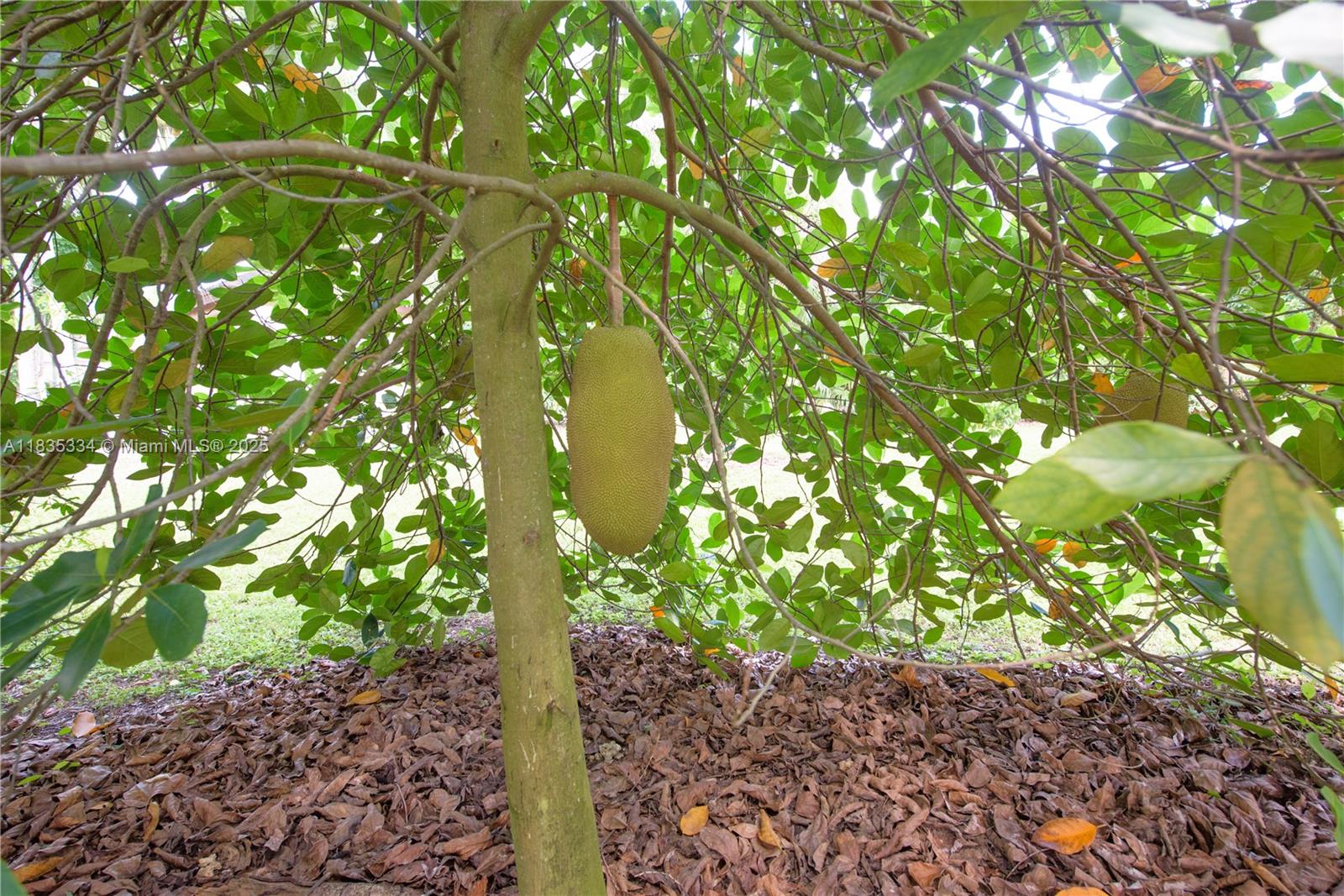 Redland - Residential