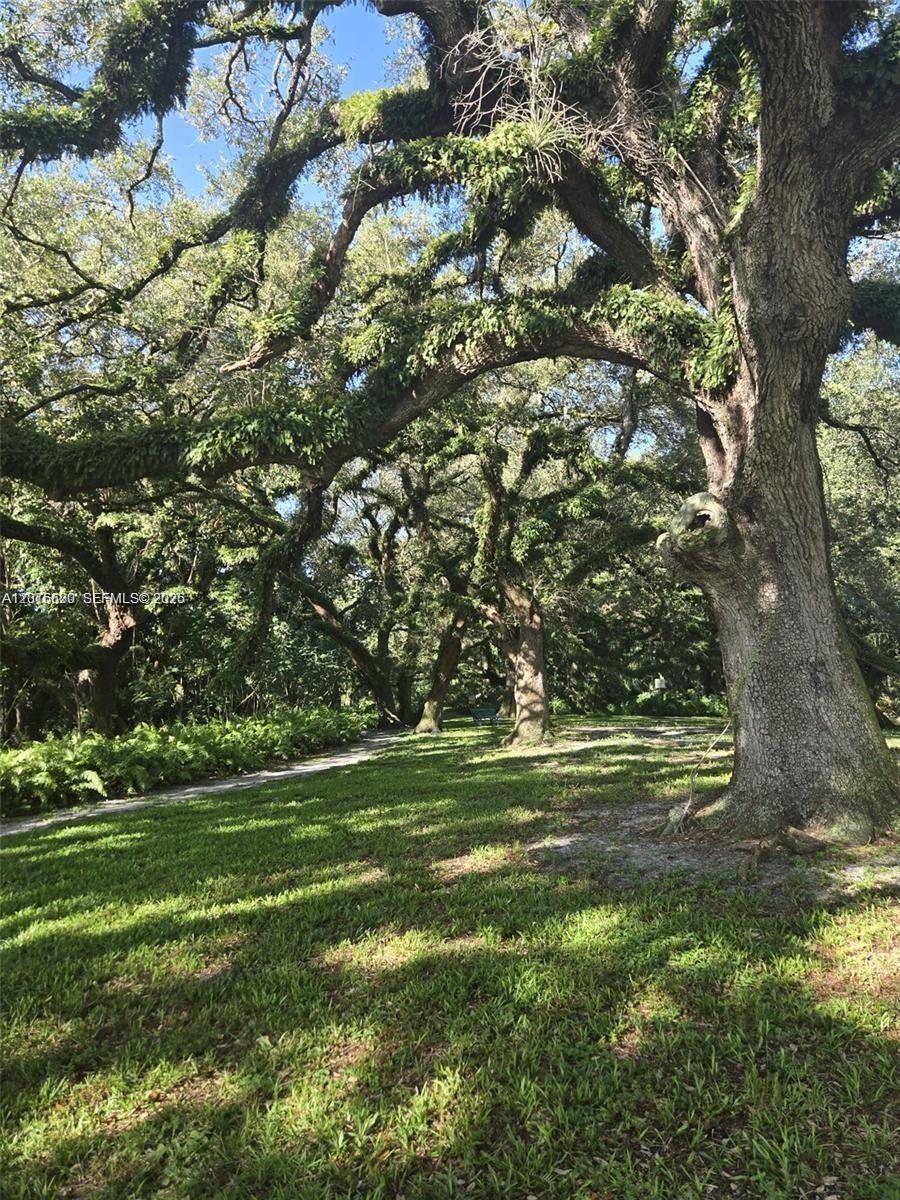 LIVE OAK CONDOMINIUM TWO - Residential