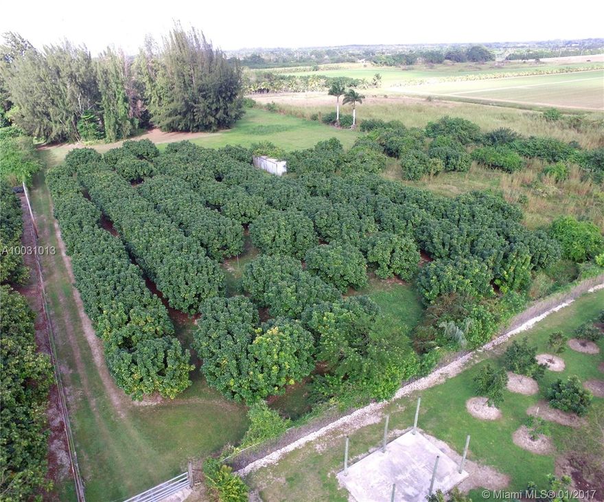 Enjoy the South Florida Country Lifestyle in the Redland. This 4 bedroom, 3 1/2 bath Custom built home sits among Tropical Hammocks, overlooking a Longan grove on 5 Acres, located on 300 feet of canal. Some features are: Porte'cochere, 15 feet high clear cypress tongue and groove ceilings, Fully Renovated Kitchen, Two masonry fireplaces, 6 French doors, Oversized screened patio, Unfinished 2200 sq ft outbuilding.