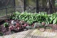 Redland - Residential