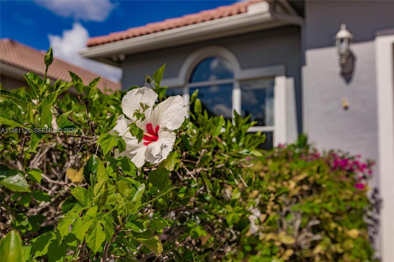 HAMPTON CLUB - Residential