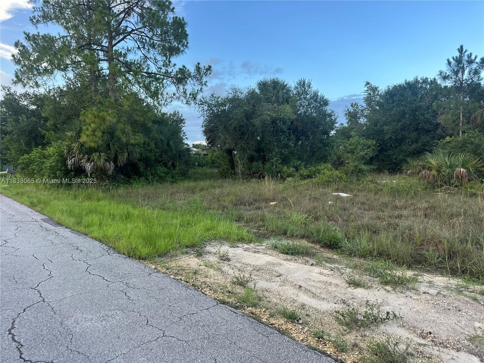 Located in a quiet Lehigh Acres subdivision, this oversized vacant lot offers over 21,000?sq?ft of buildable land with no HOA restrictions. Minutes from schools, shopping, and I-75, this parcel is perfect for constructing your custom home with room for a pool or outdoor workshop. Act now—homesites like this in a growing market don’t last long!