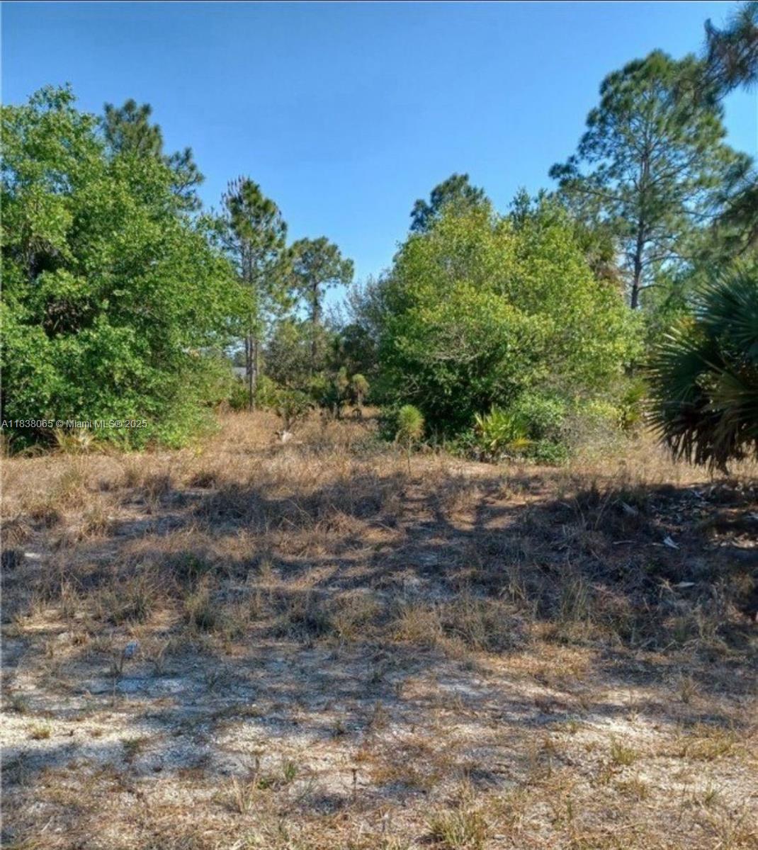 Located in a quiet Lehigh Acres subdivision, this oversized vacant lot offers over 21,000?sq?ft of buildable land with no HOA restrictions. Minutes from schools, shopping, and I-75, this parcel is perfect for constructing your custom home with room for a pool or outdoor workshop. Act now—homesites like this in a growing market don’t last long!