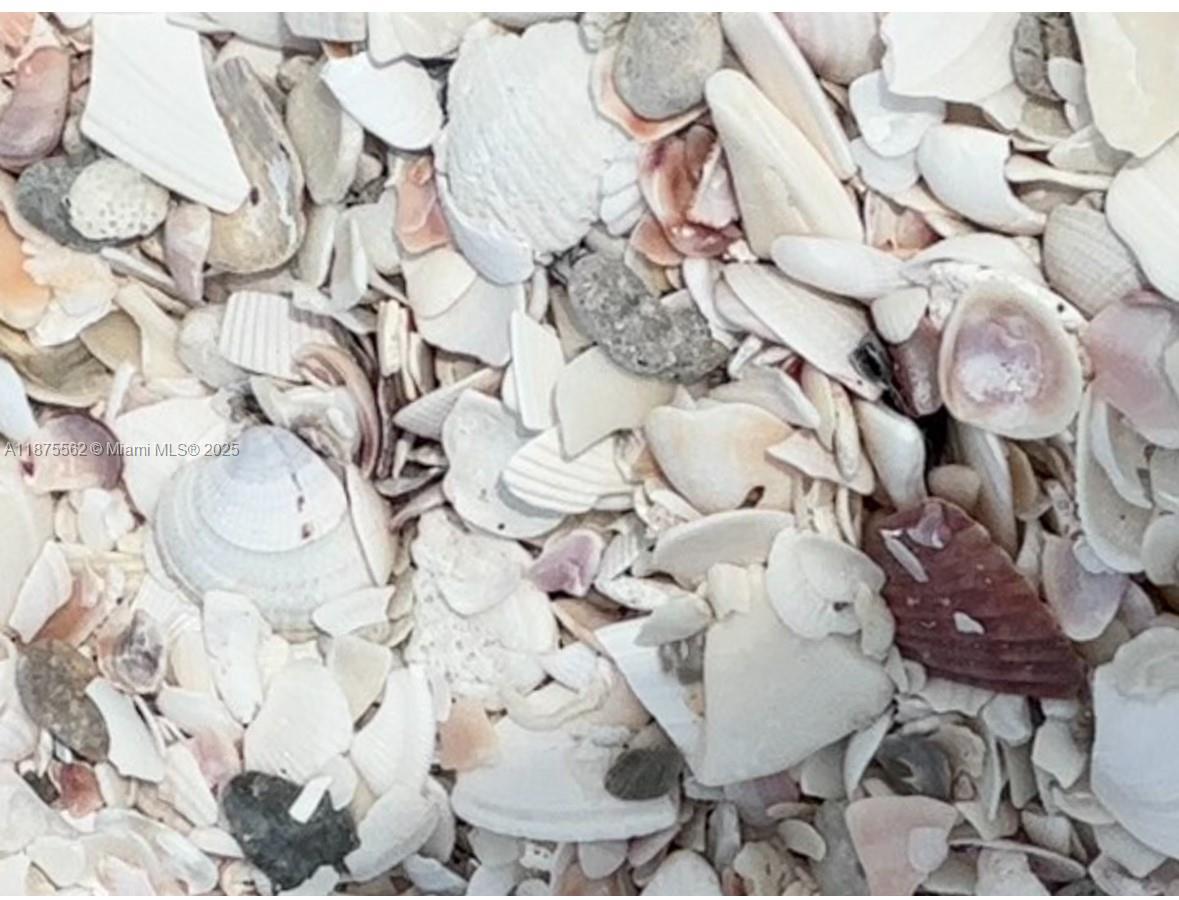 BAREFOOT BEACH CLUB - Residential