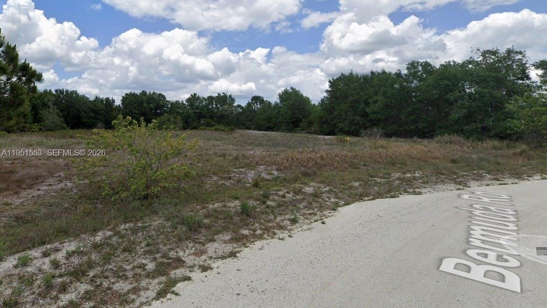 AVON PARK LAKES - Land