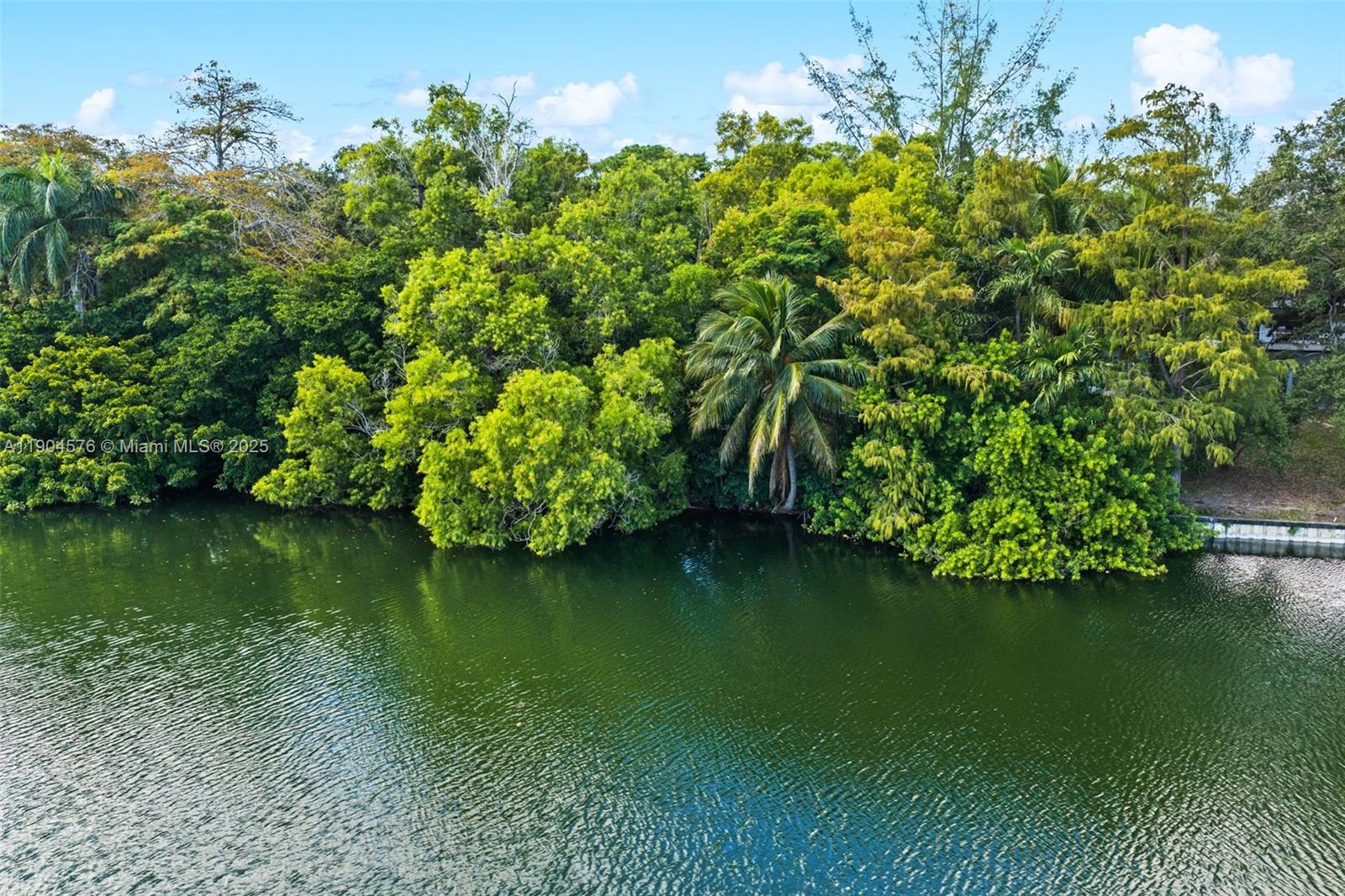 MITCHELL LAKE PENINSULA - Land