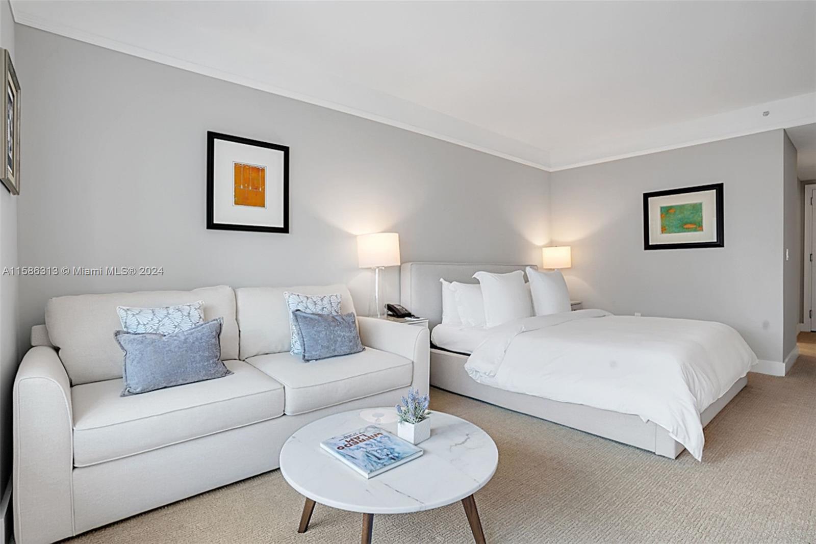 Millenium Tower Condo - Residential