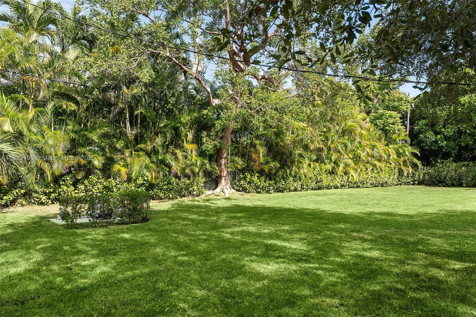 PALMETTO HOMESITES - Residential