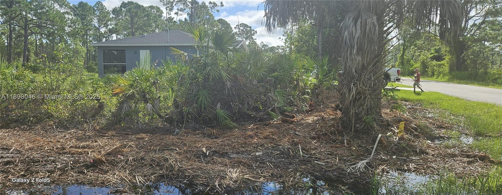 Tropical Gulf Acres - Land