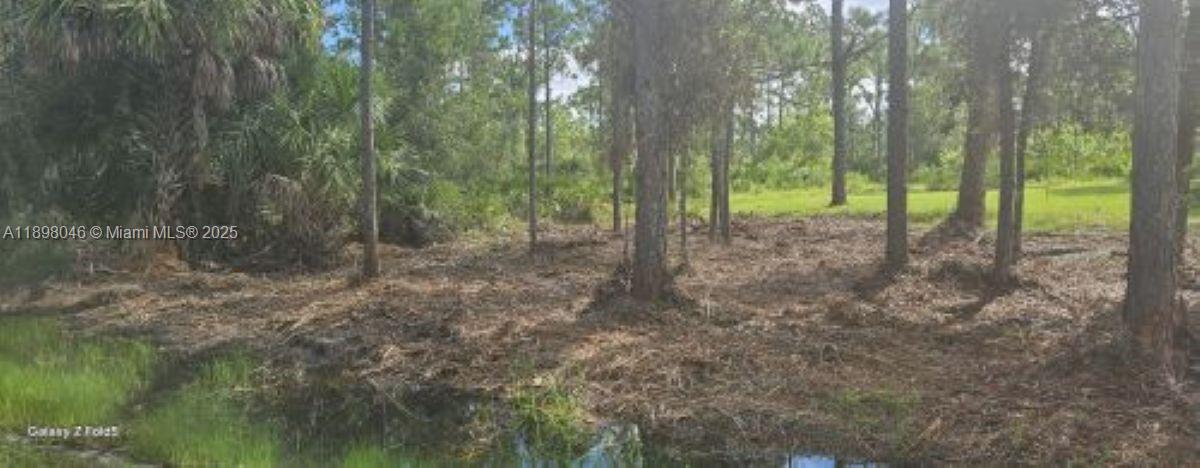 Tropical Gulf Acres - Land