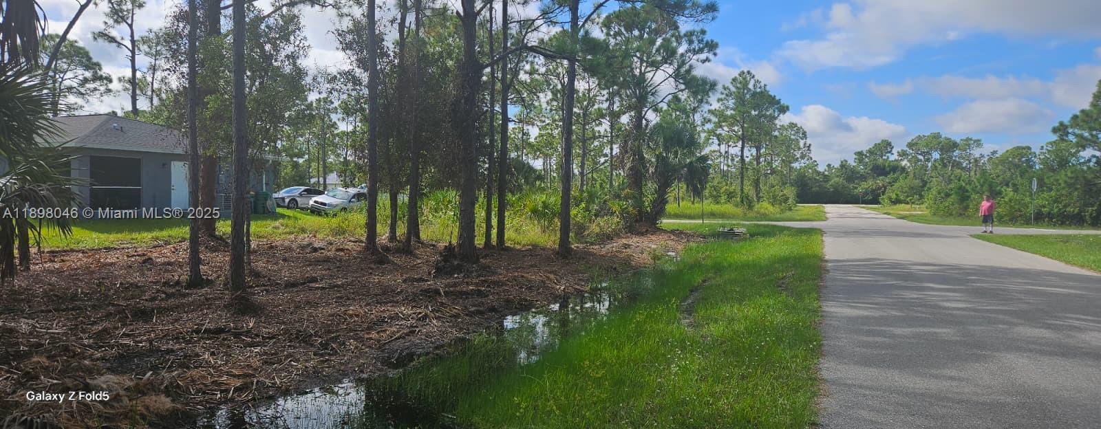 Tropical Gulf Acres - Land