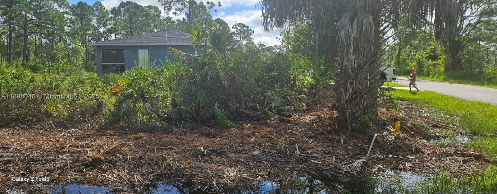 Tropical Gulf Acres - Land