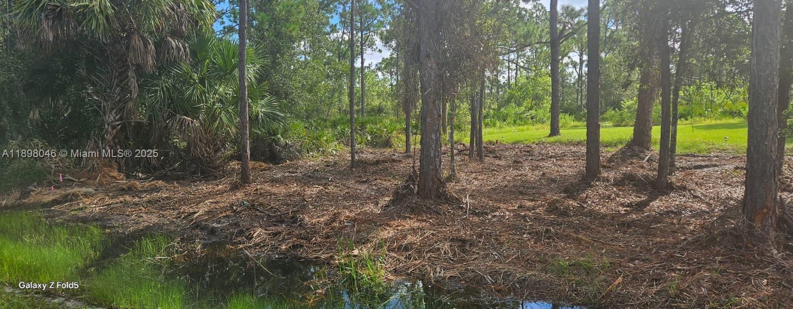 Tropical Gulf Acres - Land