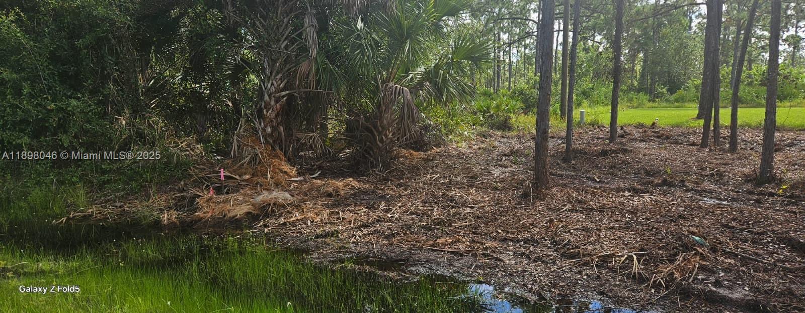 Tropical Gulf Acres - Land