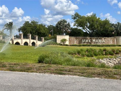 A home in Ave Maria