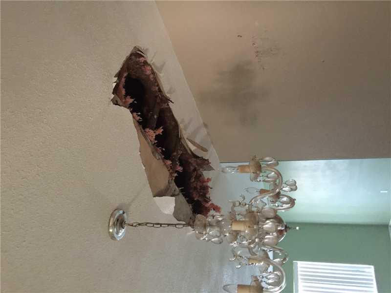 OAKLAND ESTATES 7TH SECTI - Residential