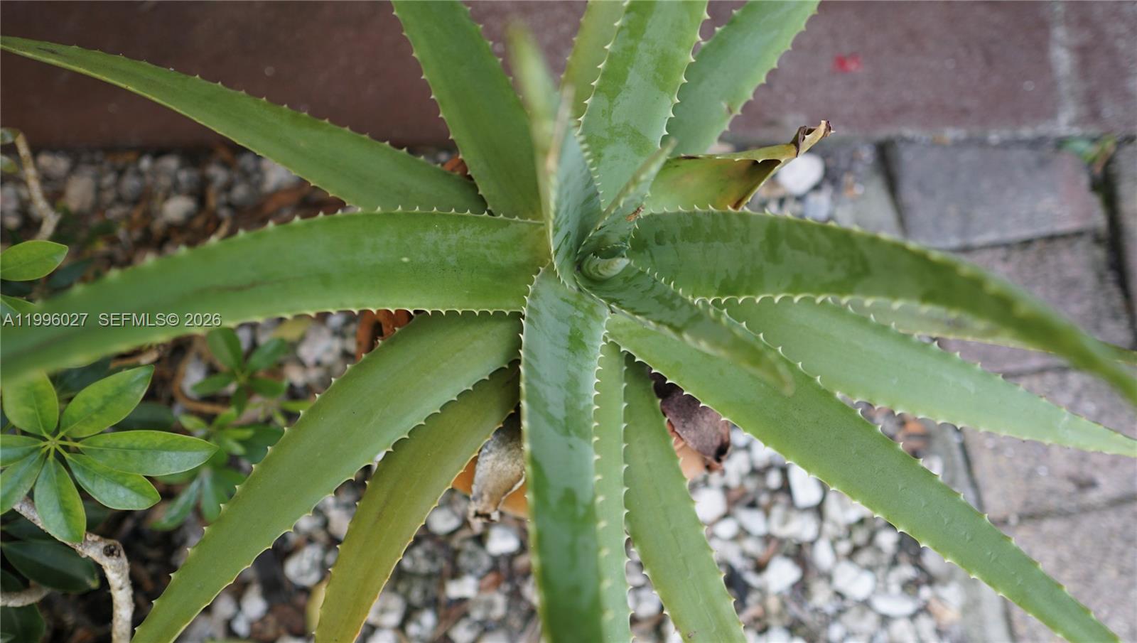 LA PLACIDA SECTION 2 COND - Residential