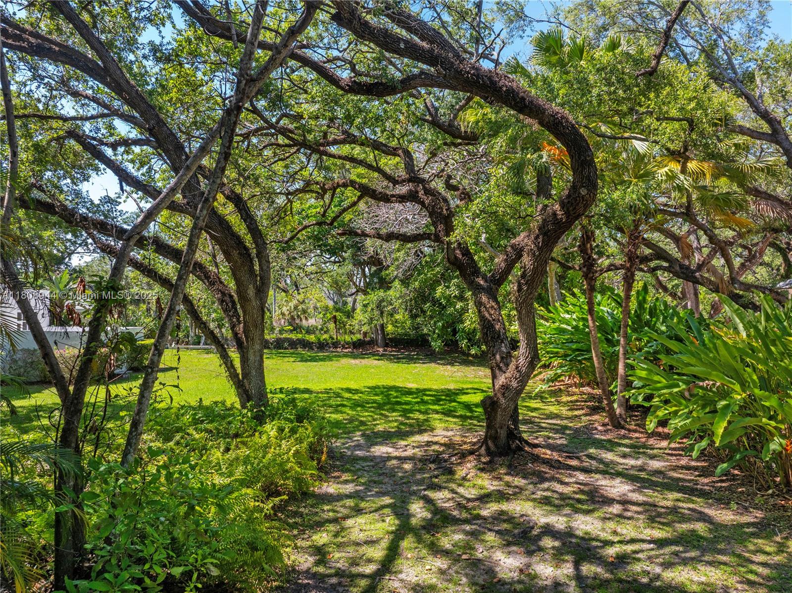 PALM VISTA - Residential