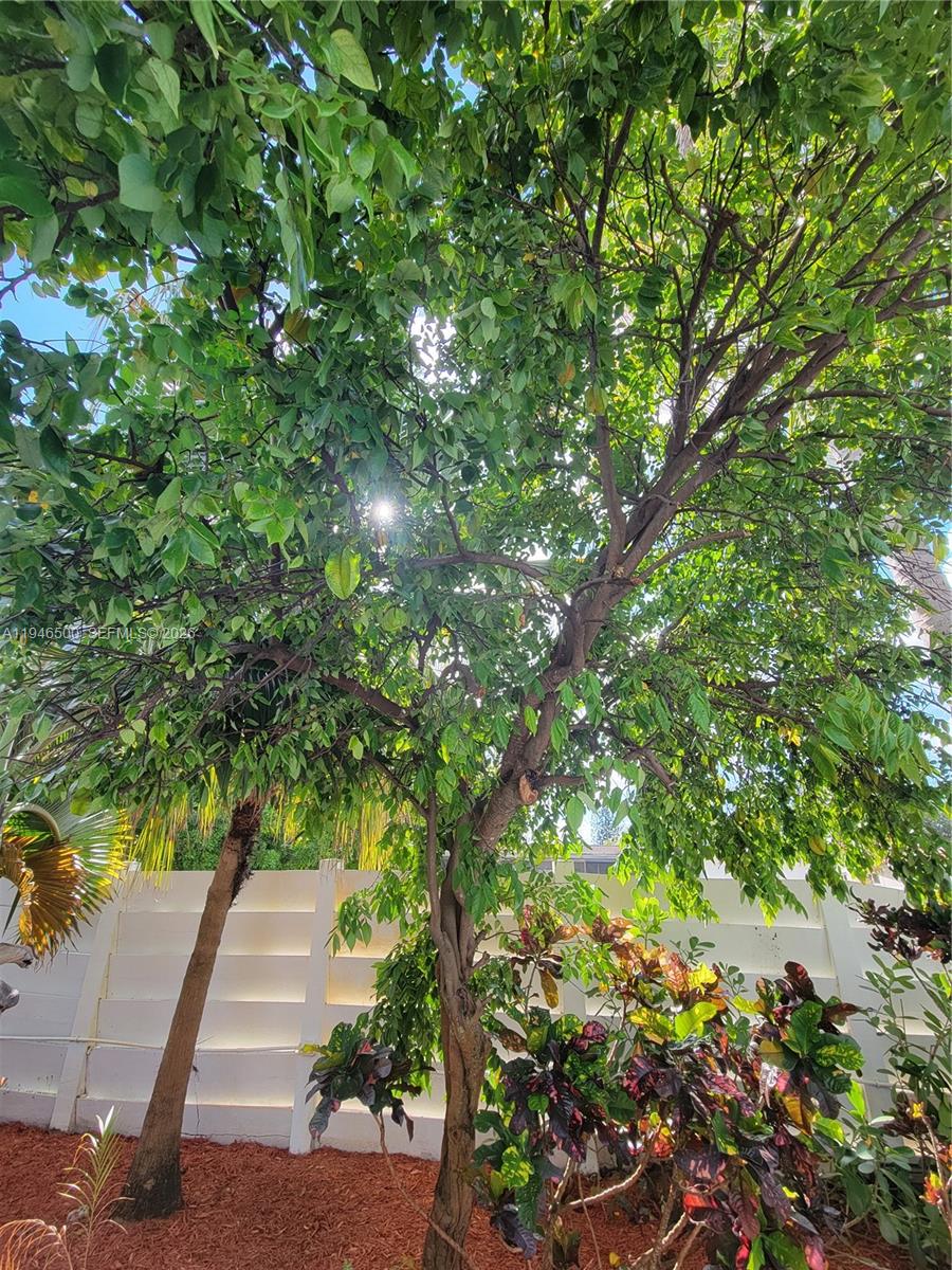 HOLLYWOOD HILLS AMEN PLAT - Residential