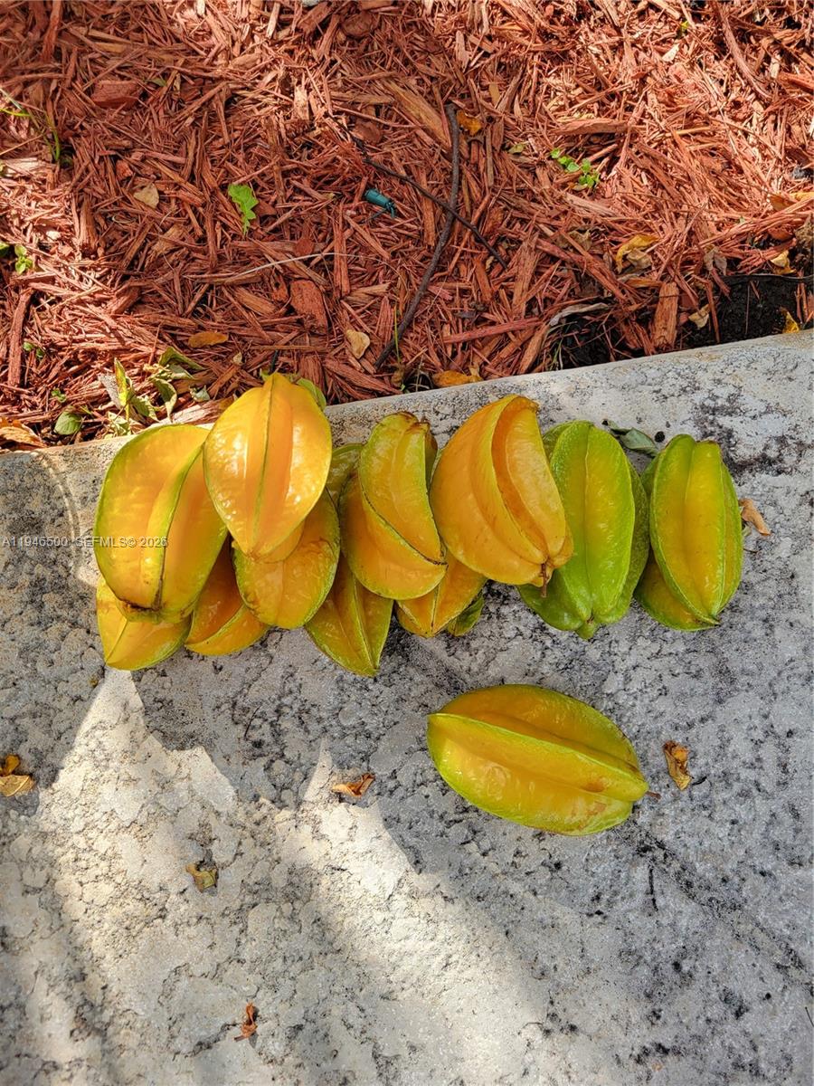 HOLLYWOOD HILLS AMEN PLAT - Residential